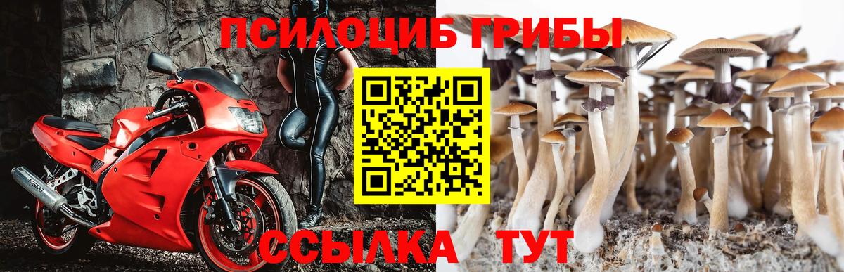 Галлюциногенные грибы мухоморы Ачхой-Мартан